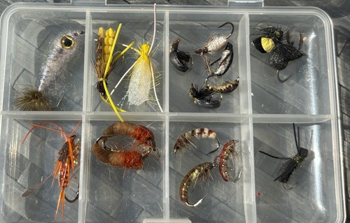 Fly fishing flies trout - fishing,