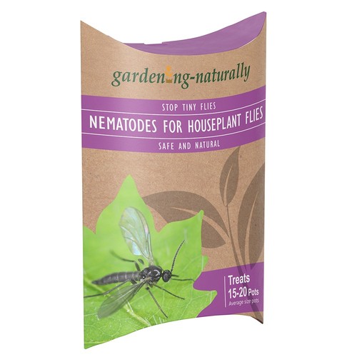 Nematodes for houseplant flies - nematodes,