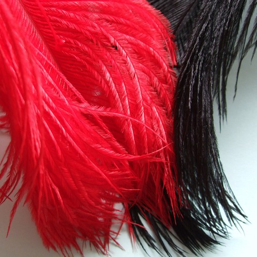 Ostrich feathers herl - ostrich, fly